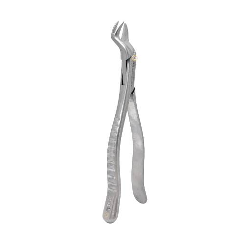 Forcep Adulto 6B