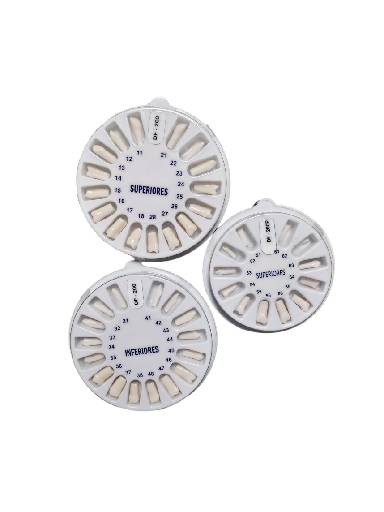 Dientes para Tipodonto tipo Nissin Infantil