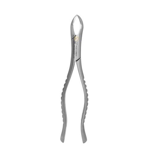 Forcep Adulto 6B